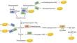 The interplay of hydrogen sulfide and microRNAs in cardiovascular diseases: insights and future perspectives.