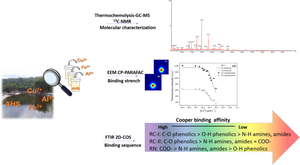 Seasonal studies of aquatic humic substances from Amazon rivers: characterization and interaction with Cu (II), Fe (II), and Al (III) using EEM-PARAFAC and 2D FTIR correlation analyses.