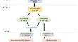 Computational screening of matrix metalloproteinase 3 inhibitors to counteract skin aging from phytochemicals of Nelumbo nucifera Gaertn