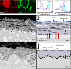 Revealing effect of Al content on oxidation of novel Co-Cr-Nb-W carbide-strengthened superalloy