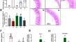 Lactobacillus crispatus 7-4 Mitigates Salmonella typhimurium-Induced Enteritis via the γ‑Glutamylcysteine-Mediated Nrf2 Pathway.
