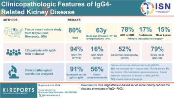 Clinicopathologic Features of IgG4-Related Kidney Disease