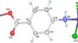 A Zn(II)-based 1D Coordination Polymer with Adsorption Properties and Hirshfeld Surface Analysis