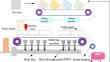 Identification of working conditions and prediction of FeO content in sintering process of iron ore fines