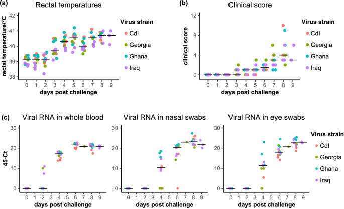 Long-term trial of protection provided by adenovirus-vectored vaccine expressing the PPRV H protein.