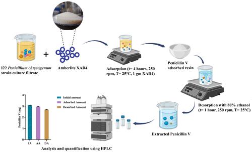 An Adsorption Based Downstream Processing Approach for Penicillin V from a Penicillium chrysogenum BIONCL I22 Culture Filtrate