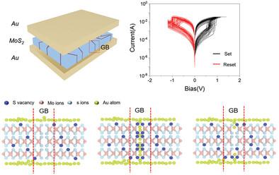 Metal Penetration and Grain Boundary in MoS2 Memristors