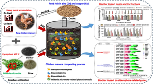 Mikania micrantha Kunth and its derived biochar impacts on heavy metal bioavailability and siderophore-related genes during chicken manure composting