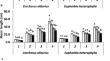 Allelopathic potentiality of Trianthema portulacastrum L. shoot extract and mulch on germination and growth of two summer weeds