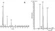 Field effectiveness of some essential oil emulsions against the whitefly Bemisia tabaci (GENN.) that infest potato plants in Egypt