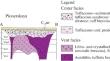 Diamonds of the Pionerskaya Pipe: Morphology, Spectroscopy, and Prospects