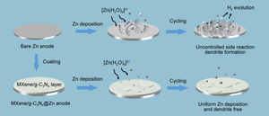 Construction of a multifunctional Ti3C2Tx MXene/g-C3N4 artificial protective layer for dendrite-free aqueous Zn-ion batteries