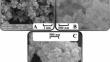 Immobilization of Ficin Enzyme onto Surface-Modified Iron Oxide Nanoparticles: Characterization and Catalytic Activity