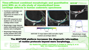 Time-efficient combined morphologic and quantitative joint MRI: an in situ study of standardized knee cartilage defects in human cadaveric specimens.