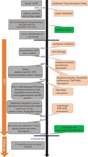 Pulmonary coinfection by Pneumocystis jirovecii and Aspergillus terreus in an ITP patient after corticosteroid therapy: A case report