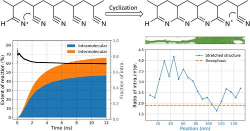 Molecular Modeling of Stabilization during Processing of Polyacrylonitrile-Based Carbon Fibers