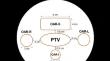 Analysis on the delivery quality assurance using SunCHECK for the VMAT in halcyon linear accelerator