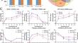 Vernalization promotes bolting in sugar beet by inhibiting the transcriptional repressors of BvGI.