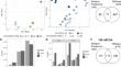 A multi-omics approach to elucidate okadaic acid-induced changes in human HepaRG hepatocarcinoma cells