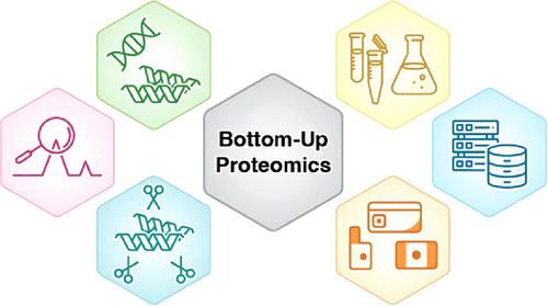 Comprehensive Overview of Bottom-Up Proteomics Using Mass Spectrometry