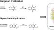 Synthesis and antiviral property of polysulfate-grafted maleimide-based enediynes