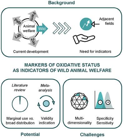 Oxidative status: A general but overlooked indicator of welfare across animal species?