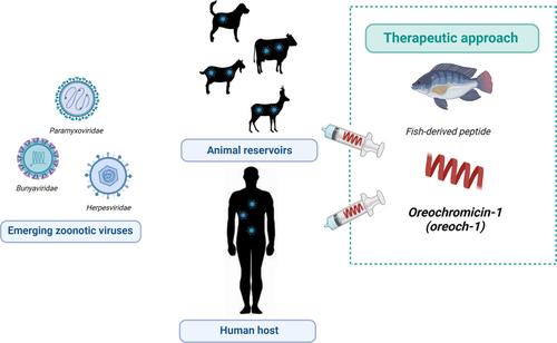 Oreoch-1: A broad-spectrum virus and host-targeting peptide against animal infections