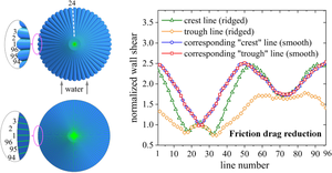 On the fluid drag reduction in scallop surface