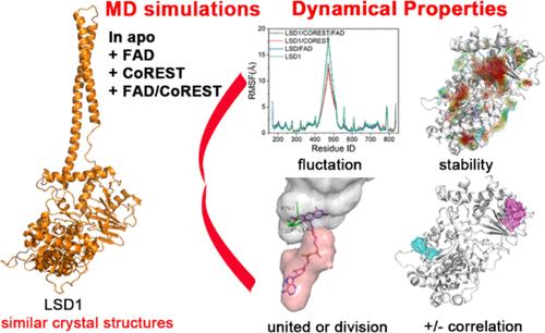 Mining the Dynamical Properties of Substrate and FAD Binding Pockets of LSD1: Hints for New Inhibitor Design Direction