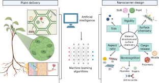 Towards realizing nano-enabled precision delivery in plants