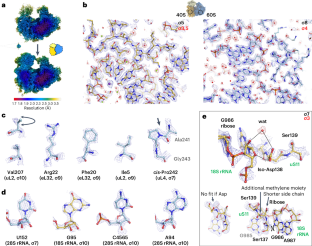 The structure of the human 80S ribosome at 1.9 Å resolution reveals the molecular role of chemical modifications and ions in RNA