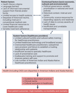 Chronic kidney disease in American Indians and Alaska Natives