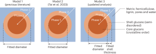 Reply to: Critical comment on the assumptions leading to 24-chain microfibrils in wood