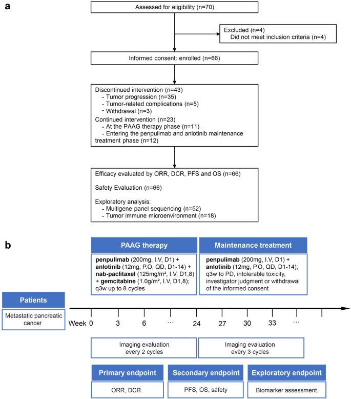 First-line penpulimab (an anti-PD1 antibody) and anlotinib (an angiogenesis inhibitor) with nab-paclitaxel/gemcitabine (PAAG) in metastatic pancreatic cancer: a prospective, multicentre, biomolecular exploratory, phase II trial.