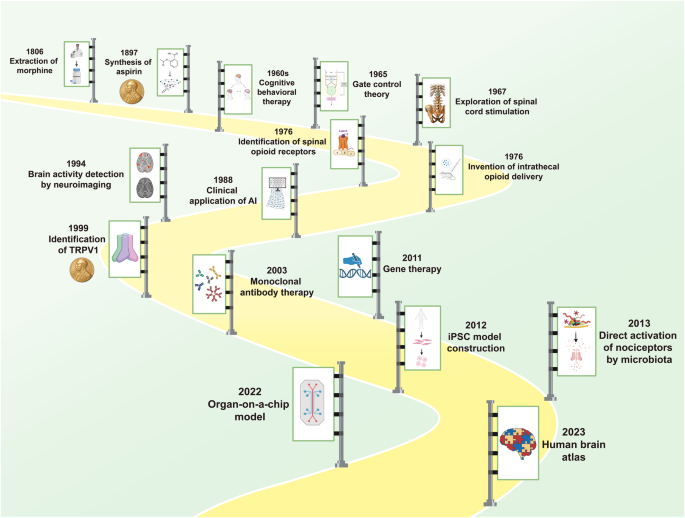 Pathology of pain and its implications for therapeutic interventions