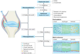 Advances in viscosupplementation and tribosupplementation for early-stage osteoarthritis therapy