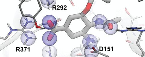 CENsible: Interpretable Insights into Small-Molecule Binding with Context Explanation Networks