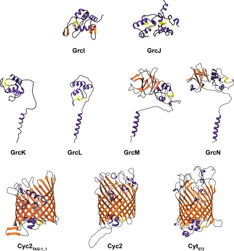 Comparative proteomics of a versatile, marine, iron-oxidizing chemolithoautotroph