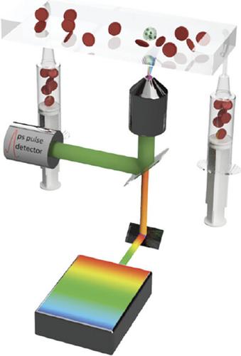 Harmonic Imaging of Stem Cells in Whole Blood at GHz Pixel Rate.