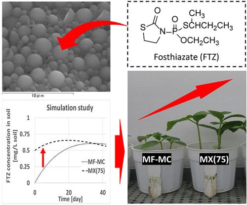 Simulation and application assessment of the efficacy of fosthiazate-loaded microcapsules against root-knot nematode.