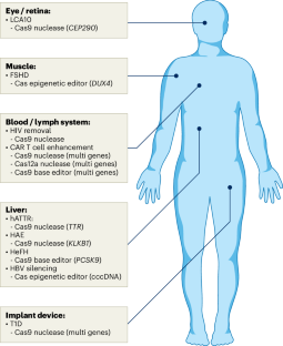 The realization of CRISPR gene therapy