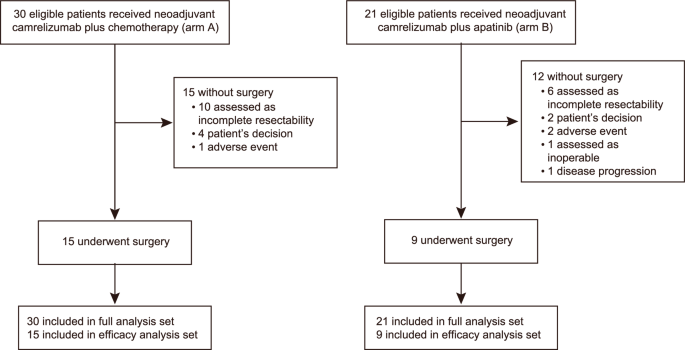 Neoadjuvant camrelizumab (an anti-PD-1 antibody) plus chemotherapy or apatinib (a VEGFR-2 inhibitor) for initially unresectable stage II-III non-small-cell lung cancer: a multicentre, two-arm, phase 2 exploratory study.