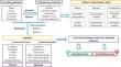 Classical and advanced isotherms to model the adsorption of drugs, dyes and metals on activated carbonaceous materials: a review