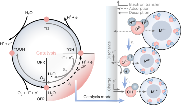 Zn2+-mediated catalysis for fast-charging aqueous Zn-ion batteries