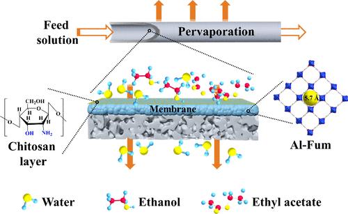 Synergistic Preparation of Stable Al-Fum Based Tubular Membrane for Pervaporation Separation of Water–Ethanol–Ethyl Acetate Azeotropic Mixtures