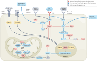 Circulating non-coding RNA biomarkers of endocrine tumours