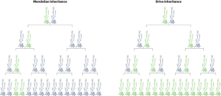 Driving evolution in wild plants