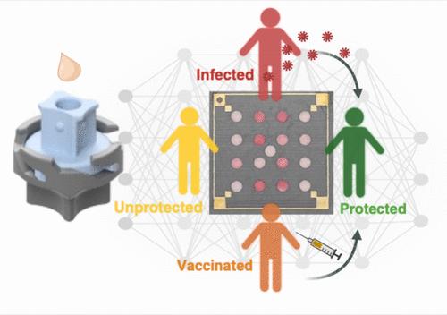 A Paper-Based Multiplexed Serological Test to Monitor Immunity against SARS-COV-2 Using Machine Learning