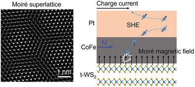 Moiré Engineering of Spin–Orbit Torque by Twisted WS2 Homobilayers