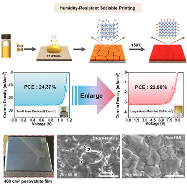 Perfluoroalkylsulfonyl ammonium for humidity- resistant printing high-performance phase-pure FAPbI3 perovskite solar cells and modules